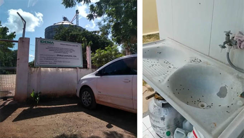 Imagem 1 - A peça colocada no processo na tarde do último dia do prazo dado para o problema ser resolvido, é uma demonstração clara que a determinação judicial não será cumprida. Prefere pagar a multa. Pede desconto de 90%. O pedido da Aveforte à justiça deve ser analisado e julgada nos próximos dias pelo juízo do caso. O advogado Natã Xavier disse que acredita na Justiça e que a multa, que já era muito baixa, certamente não será reduzida. Do contrário, “seria humilhante as centenas de famílias que moram naquela região”, diz Natã Xavier (foto abaixo), observando que no mesmo pedido tem a informação falsa de que “praticamente todas as medidas foram adotadas, o que não é verdade, pois as moscas continuam do mesmo jeito ou pior, como testemunha a vítima Almeida Paiva”. Imagem 1 - A peça colocada no processo na tarde do último dia do prazo dado para o problema ser resolvido, é uma demonstração clara que a determinação judicial não será cumprida. Prefere pagar a multa. Pede desconto de 90%. O pedido da Aveforte à justiça deve ser analisado e julgada nos próximos dias pelo juízo do caso. O advogado Natã Xavier disse que acredita na Justiça e que a multa, que já era muito baixa, certamente não será reduzida. Do contrário, “seria humilhante as centenas de famílias que moram naquela região”, diz Natã Xavier (foto abaixo), observando que no mesmo pedido tem a informação falsa de que “praticamente todas as medidas foram adotadas, o que não é verdade, pois as moscas continuam do mesmo jeito ou pior, como testemunha a vítima Almeida Paiva”.