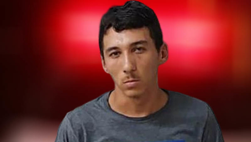 Imagem 1 - Imagem 1 -