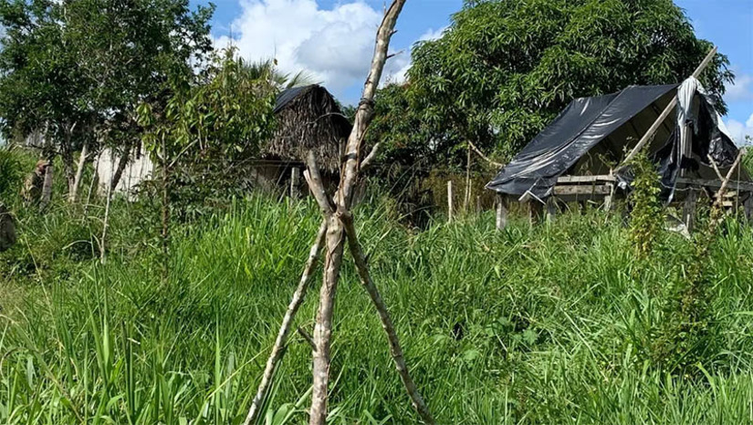 Imagem 1 -  [COLUNA ESPLANADA] Uma triste surpresa na nova lista do “trabalho escravo” nas lavouras, do Ministério Público do Trabalho e do sindicato dos fiscais, caiu como bomba na Souza Cruz e a Philip Morris, as maiores cigarreiras da América do Sul. De abril a setembro, a indústria do fumo foi um dos setores com mais lavradores resgatados, com 76 trabalhadores. A Souza e a Philip, que controlam o mercado nacional e se vangloriam de pagar bilhões de reais em impostos, se escondem no bojo da Abifumo, associação que criaram, quando o assunto é delicado. A Souza, aliás, tem determinação interna de evitar responder a Coluna, orientação de um consultor terceirizado de Brasília. Um desespero velado segue nos corredores para que assunto não chegue à British American Tobacco, em Londres, proprietária da Souza e que preza por rígido compliance com fornecedores. A Abifumo não quis detalhar quais procedimentos têm para fiscalizar as lavouras no campo. Em nota à reportagem, resumiu que “todas as etapas da cadeia produtiva são monitoradas por meio de um rígido controle, sendo realizada de forma periódica (...), com ampla participação dos órgãos competentes”. Não é o que parece.