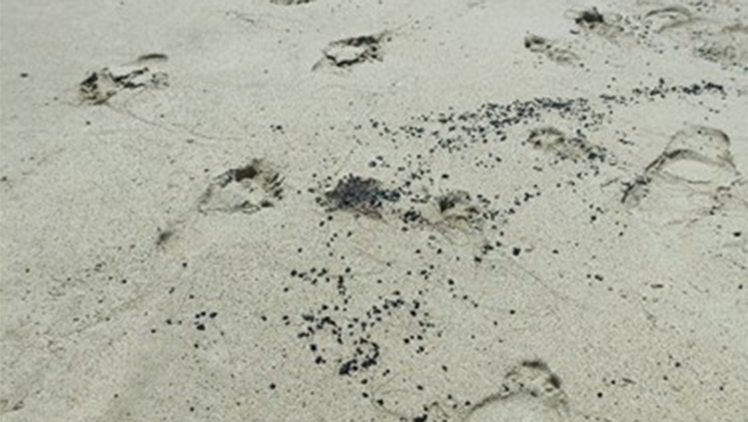 Imagem 1 -  