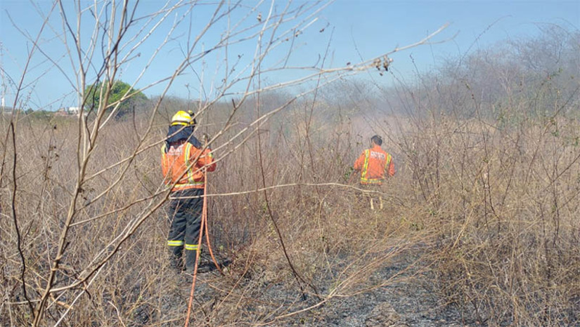 Imagem 1 - Corpo de Bombeiros registra três ocorrências de incêndio seguidas em Mossoró. Os três casos aconteceram nesta sexta-feira (11), entre 12h e 14h30, na região dos Pereiros, Costa e Silva e Vingt Rosado. O primeiro caso, nas proximidades da empresa AeC, provocou uma grande nuvem de fumaça, que pode ser vista de várias partes da cidade. De acordo com o comandante do CBM de Mossoró, Tenente Quintino, o incêndio aconteceu em uma vegetação seca localizada em um terreno, mas, no local, haviam sido descartados alguns materiais em PVC, que também foram atingidos pelas chamas, produzindo a fumaça. Imagem 1 - Corpo de Bombeiros registra três ocorrências de incêndio seguidas em Mossoró. Os três casos aconteceram nesta sexta-feira (11), entre 12h e 14h30, na região dos Pereiros, Costa e Silva e Vingt Rosado. O primeiro caso, nas proximidades da empresa AeC, provocou uma grande nuvem de fumaça, que pode ser vista de várias partes da cidade. De acordo com o comandante do CBM de Mossoró, Tenente Quintino, o incêndio aconteceu em uma vegetação seca localizada em um terreno, mas, no local, haviam sido descartados alguns materiais em PVC, que também foram atingidos pelas chamas, produzindo a fumaça.