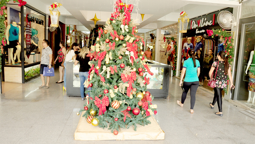 Imagem 1 -  