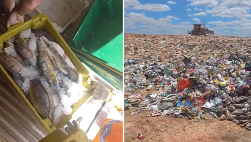 Imagem 1 - Comerciante de Mossoró perde quase 700 kg de peixe após ser abordado em fiscalização do SIM. A abordagem aconteceu nesta quarta-feira (23), no posto da PRF, da saída para Natal, por volta das 8h45. Cleiton Nunes, que trabalha junto ao pai Beto do Peixe há muito anos, entregando pescados a comerciantes da Cobal e outros estabelecimentos da cidade, contou ao MOSSORÓ HOJE que foi surpreendido com a decisão dos fiscais, que apreenderam a mercadoria e a descartaram no lixão. “Inicialmente eles alegaram que o peixe não estava no gelo, mas tinha gelo. Depois alegaram que o peixe devia ser inspecionado e colocado selo de garantia. Só que a Prefeitura de Mossoró não disponibiliza o serviço. Quase 700 kg de mercadoria jogado no lixo, tirando o nosso sustento e das pessoas que trabalham com a gente”, lamentou ele. Imagem 1 - Comerciante de Mossoró perde quase 700 kg de peixe após ser abordado em fiscalização do SIM. A abordagem aconteceu nesta quarta-feira (23), no posto da PRF, da saída para Natal, por volta das 8h45. Cleiton Nunes, que trabalha junto ao pai Beto do Peixe há muito anos, entregando pescados a comerciantes da Cobal e outros estabelecimentos da cidade, contou ao MOSSORÓ HOJE que foi surpreendido com a decisão dos fiscais, que apreenderam a mercadoria e a descartaram no lixão. “Inicialmente eles alegaram que o peixe não estava no gelo, mas tinha gelo. Depois alegaram que o peixe devia ser inspecionado e colocado selo de garantia. Só que a Prefeitura de Mossoró não disponibiliza o serviço. Quase 700 kg de mercadoria jogado no lixo, tirando o nosso sustento e das pessoas que trabalham com a gente”, lamentou ele.