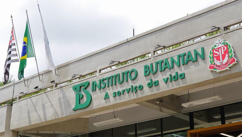 Imagem 1 -  