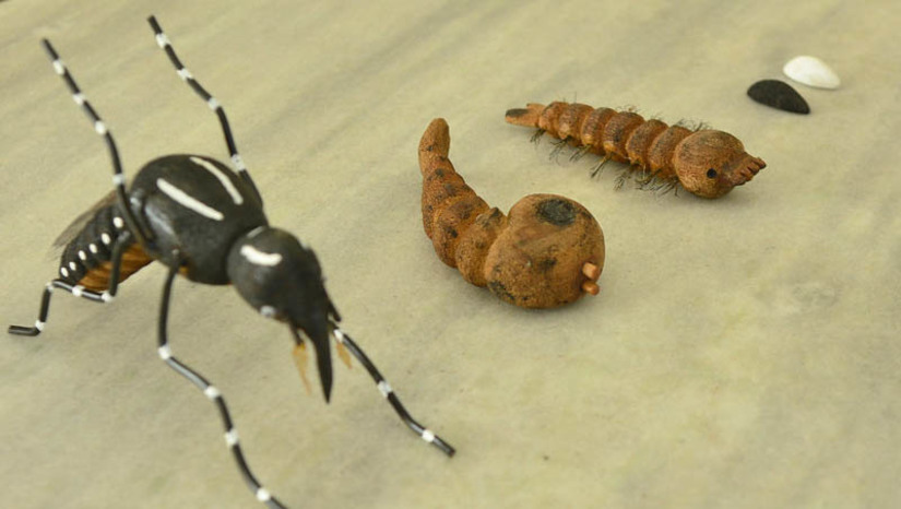 Imagem 1 -  População deve redobrar cuidados para combater o Aedes aegypti no período chuvoso. As altas temperaturas e período de chuvas exigem da população mais cuidados para eliminação de focos do mosquito. Em Mossoró, a prefeitura vem reforçando junto aos moradores a ações para evitar a proliferação dos mosquitos e o aumento de casos das arboviroses transmitidas por ele: dengue, zika e chikungunya.  “O trabalho do agente de endemias é muito importante, pois ele tem o papel de achar o foco e eliminá-lo. Além disso, ele orienta o morador para os cuidados com a limpeza dos imóveis com o objetivo de manter a população sempre vigilante”, frisou o diretor do CC, Sandro Elias.