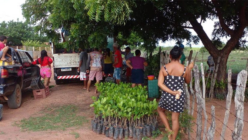 Imagem 1 -  