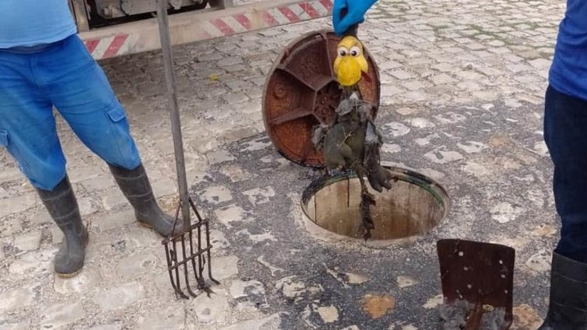 Imagem 1 -  Caern reforça uso correto da rede de esgotos para evitar transbordamentos, principalmente no período chuvoso.Evitar ligações clandestinas de água de chuva para a rede de esgoto, não jogar lixo na rua e adotar práticas sustentáveis em casa, são fundamentais para garantir o desempenho correto do sistema. “Redes de esgoto e redes de drenagem são sistemas diferentes, normalmente confundidos pela população. Conhecer o papel de cada um é necessário para garantir o melhor desempenho da infraestrutura da cidade”, explica a Caern.