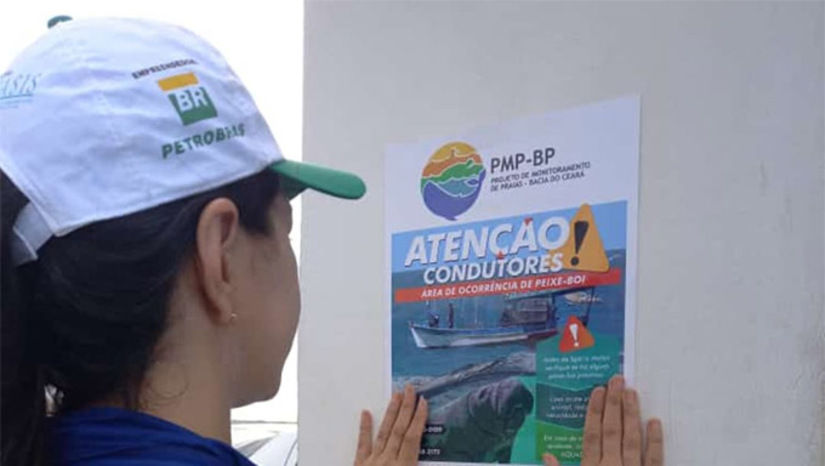 Imagem 1 -  Ambientalista pede que a população não se aproxime do peixe boi "Pintada", solta na Prainha, em Grossos. Pintada, como é conhecida, foi solta na natureza em janeiro desse ano, e passou a ser monitorada diariamente pela equipe técnica do projeto. Os técnicos do projeto Aquasis, explicam que por se tratar de um peixe-boi que está voltando à natureza, o animal precisa se adaptar à vida livre e aprender a viver por conta própria, por isso, a população não deve se aproximar do animal