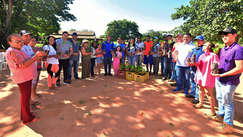 Imagem 1 - Ao todo, através do Programa Mossoró Rural, estão sendo distribuídos pela Secretaria de Agricultura de Mossoró, em parceria com o SEBRAE e FUNCERN, 40 mil mudas de cajueiros anão precoce a 125 agricultores de 20 comunidades rurais de Mossoró. Para plantar, estes agricultores estão recebendo orientações técnicas de especialistas no ramo da cajucultura. A previsão é que neste primeiro momento, sejam plantados 250 hectares de cajueiro que vão está produzido a partir do terceiro ano. Estes números, segundo o prefeito Allyson Bezerra, permite afirmar que é "a verdadeira independência que a gente tem que dar para a zona rural de Mossoró”, finalizou o prefeito Allyson Bezerra, que acompanhou a entrega na manhã deste sábado na zona rural do município de Mossoró-RN. Imagem 1 - Ao todo, através do Programa Mossoró Rural, estão sendo distribuídos pela Secretaria de Agricultura de Mossoró, em parceria com o SEBRAE e FUNCERN, 40 mil mudas de cajueiros anão precoce a 125 agricultores de 20 comunidades rurais de Mossoró. Para plantar, estes agricultores estão recebendo orientações técnicas de especialistas no ramo da cajucultura. A previsão é que neste primeiro momento, sejam plantados 250 hectares de cajueiro que vão está produzido a partir do terceiro ano. Estes números, segundo o prefeito Allyson Bezerra, permite afirmar que é "a verdadeira independência que a gente tem que dar para a zona rural de Mossoró”, finalizou o prefeito Allyson Bezerra, que acompanhou a entrega na manhã deste sábado na zona rural do município de Mossoró-RN.