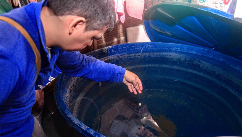 Imagem 1 - Região do Santa Helena é a primeira atendida pela campanha “Mossoró contra a Dengue”. A iniciativa da Prefeitura de Mossoró visa intensificar as ações de prevenção e controle das arboviroses (dengue, chikungunya e zika). Agentes de endemias estão percorrendo diversas ruas no entorno da Unidade Básica de Saúde Joaquim Saldanha. Os profissionais estão levando orientações aos moradores da região sobre os cuidados que devem ter para evitar a proliferação do mosquito Aedes aegypti em recipientes que acumulam água. Imagem 1 - Região do Santa Helena é a primeira atendida pela campanha “Mossoró contra a Dengue”. A iniciativa da Prefeitura de Mossoró visa intensificar as ações de prevenção e controle das arboviroses (dengue, chikungunya e zika). Agentes de endemias estão percorrendo diversas ruas no entorno da Unidade Básica de Saúde Joaquim Saldanha. Os profissionais estão levando orientações aos moradores da região sobre os cuidados que devem ter para evitar a proliferação do mosquito Aedes aegypti em recipientes que acumulam água.