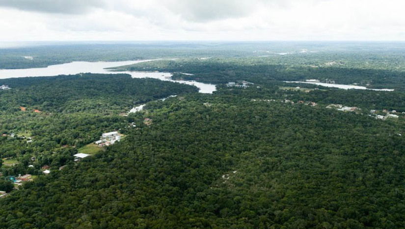 Imagem 1 - INPE registra queda de 68% no desmatamento da Amazônia no mês de abril. O dado considera o comparativo com o mesmo mês de 2022. Foram 328 Km² registrados em abril de 2023, diante de 1.026 Km² do mesmo período do ano passado. O desmatamento em abril deste ano também foi menor em relação a 2021 (579 Km²) e em relação a 2020 (407 Km²). O Deter, utilizado pelo Inpe, é um levantamento rápido de alertas de evidências de alteração da cobertura vegetal na Amazônia e no Cerrado. É o principal instrumento para dar suporte à fiscalização e controle do desmatamento e da degradação florestal. Imagem 1 - INPE registra queda de 68% no desmatamento da Amazônia no mês de abril. O dado considera o comparativo com o mesmo mês de 2022. Foram 328 Km² registrados em abril de 2023, diante de 1.026 Km² do mesmo período do ano passado. O desmatamento em abril deste ano também foi menor em relação a 2021 (579 Km²) e em relação a 2020 (407 Km²). O Deter, utilizado pelo Inpe, é um levantamento rápido de alertas de evidências de alteração da cobertura vegetal na Amazônia e no Cerrado. É o principal instrumento para dar suporte à fiscalização e controle do desmatamento e da degradação florestal.