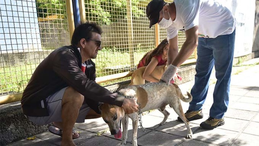 Imagem 1 -  