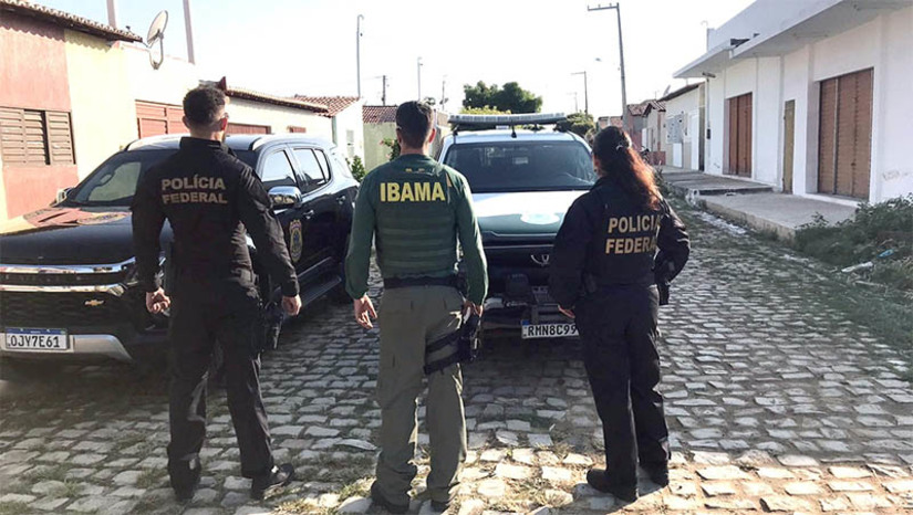 Imagem 1 - PF e IBAMA apreendeu objetos para caça ilegal e animais abatidos na região oeste do RN. A Operação Cingulata, que investiga um grupo criminoso voltado para a caça ilegal de animais silvestres de forma recreativa, foi deflagrada nesta terça-feira (18), tendo como alvos os municípios de Martins, Messias Targino e Patu. Três mandados judiciais de busca e apreensão foram cumpridos. Entre os itens apreendidos estão armadilhas, espingardas, munições. Um homem tabmém acabou preso em flagrante no município de Martins, sendo autuado por porte ilegal de arma de fogo. Imagem 1 - PF e IBAMA apreendeu objetos para caça ilegal e animais abatidos na região oeste do RN. A Operação Cingulata, que investiga um grupo criminoso voltado para a caça ilegal de animais silvestres de forma recreativa, foi deflagrada nesta terça-feira (18), tendo como alvos os municípios de Martins, Messias Targino e Patu. Três mandados judiciais de busca e apreensão foram cumpridos. Entre os itens apreendidos estão armadilhas, espingardas, munições. Um homem tabmém acabou preso em flagrante no município de Martins, sendo autuado por porte ilegal de arma de fogo.