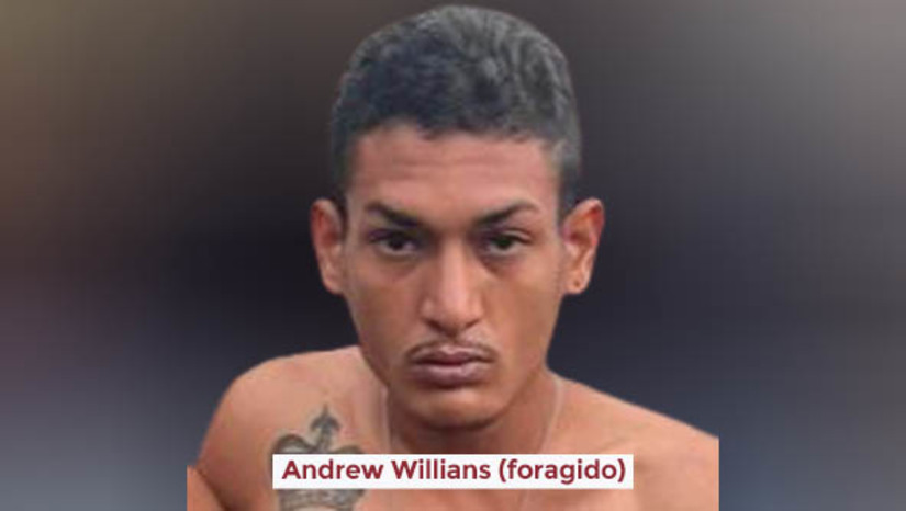 Imagem 1 - Suspeitos de homicídio em Serrinha dos Pintos são identificados; um deles está foragido. Francisco Emerson Gomes de Oliveira, também conhecido como “Pepe”, foi assassinado em uma churrascaria, no dia 28 de agosto de 2022. A polícia civil identificou Venis Atelvino da Silva, de 35 anos, Andrew Willians Santiago da Silva, conhecido como "Correria", de 25 anos, como autores do crime. A dupla chegou a ser presa 15 dias após o crime, no entanto, Andrew fugiu no mês de maio deste ano, quando rompeu a tornozeleira eletrônica. Já Venis, que também responde por uma tentativa de homicídio, cometida contra o prefeito de João Dias, em 27 de setembro de 2022, segue preso. A Polícia Civil pede que a população envie informações, de forma anônima, por meio do Disque Denúncia 181, para que Andrew seja capturado. Imagem 1 - Suspeitos de homicídio em Serrinha dos Pintos são identificados; um deles está foragido. Francisco Emerson Gomes de Oliveira, também conhecido como “Pepe”, foi assassinado em uma churrascaria, no dia 28 de agosto de 2022. A polícia civil identificou Venis Atelvino da Silva, de 35 anos, Andrew Willians Santiago da Silva, conhecido como "Correria", de 25 anos, como autores do crime. A dupla chegou a ser presa 15 dias após o crime, no entanto, Andrew fugiu no mês de maio deste ano, quando rompeu a tornozeleira eletrônica. Já Venis, que também responde por uma tentativa de homicídio, cometida contra o prefeito de João Dias, em 27 de setembro de 2022, segue preso. A Polícia Civil pede que a população envie informações, de forma anônima, por meio do Disque Denúncia 181, para que Andrew seja capturado.