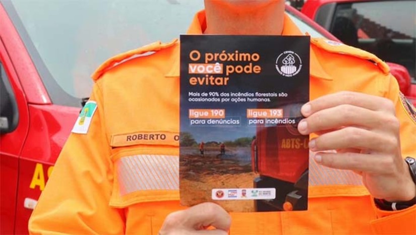 Imagem 1 -  