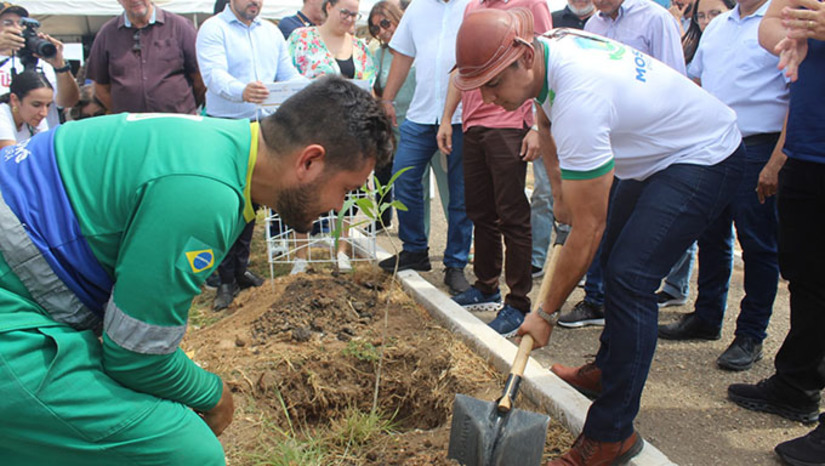 Imagem 1 - Foram plantadas 80 mudas de plantas nativas das espécies Craibeira e Carnaubeira, em 1,12 quilômetros do canteiro central de toda a avenida. No local, houve também a instalação da Pedra Fundamental, que homenageia o comércio, além de serviços oferecidos por meio do Sesc e Senac. “É um momento muito importante, onde cada árvore que aqui é plantada é uma vida, é uma história", diz Allyson Bezerra. A gente vê a Prefeitura como um grande parceiro e aliado em bons projetos como esse”, enfatizou o presidente do Sindilojas, Michelson Frota. Imagem 1 - Foram plantadas 80 mudas de plantas nativas das espécies Craibeira e Carnaubeira, em 1,12 quilômetros do canteiro central de toda a avenida. No local, houve também a instalação da Pedra Fundamental, que homenageia o comércio, além de serviços oferecidos por meio do Sesc e Senac. “É um momento muito importante, onde cada árvore que aqui é plantada é uma vida, é uma história", diz Allyson Bezerra. A gente vê a Prefeitura como um grande parceiro e aliado em bons projetos como esse”, enfatizou o presidente do Sindilojas, Michelson Frota.
