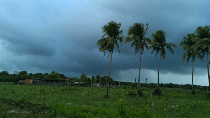 Imagem 1 - Média de chuva no mês de outubro no RN fica abaixo do esperado, diz a Emparn. A média esperada para o estado era de 8,3mm e choveu 5 mm, correspondendo a 39,3% abaixo do esperado. Embora o mês de outubro, assim como setembro, novembro e dezembro, seja um mês naturalmente mais seco pela climatologia, as análises apontam para a influência do fenômeno El Ñino nos resultados registrados. “Além da diminuição maior do volume das chuvas, observamos o aumento na circulação dos ventos, um pouco acima do normal, o que dificulta mais a formação das nuvens de chuva no território”, explicou o chefe da unidade de Meteorologia da Emparn, Gilmar Bristot. Imagem 1 - Média de chuva no mês de outubro no RN fica abaixo do esperado, diz a Emparn. A média esperada para o estado era de 8,3mm e choveu 5 mm, correspondendo a 39,3% abaixo do esperado. Embora o mês de outubro, assim como setembro, novembro e dezembro, seja um mês naturalmente mais seco pela climatologia, as análises apontam para a influência do fenômeno El Ñino nos resultados registrados. “Além da diminuição maior do volume das chuvas, observamos o aumento na circulação dos ventos, um pouco acima do normal, o que dificulta mais a formação das nuvens de chuva no território”, explicou o chefe da unidade de Meteorologia da Emparn, Gilmar Bristot.