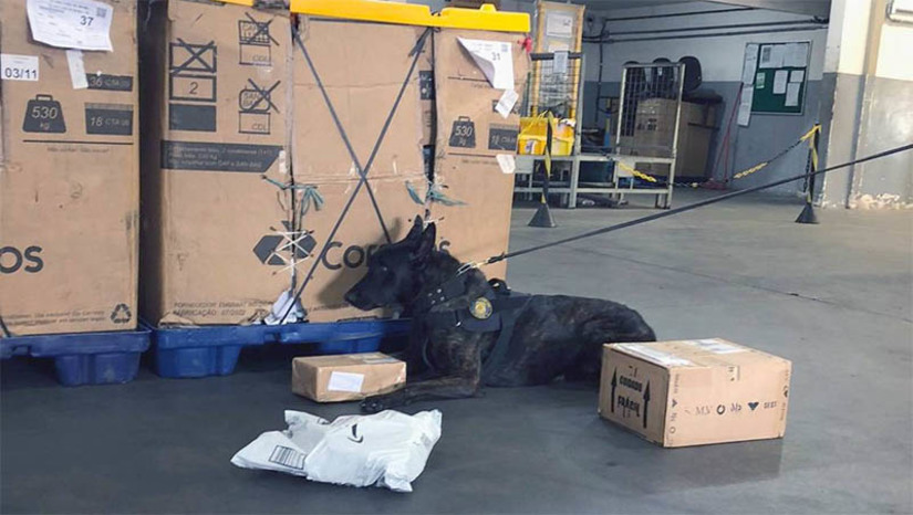 Imagem 1 - Maconha é enviada via postal ao RN com identificação de “Kit Chá”; material foi apreendido pela PF. A Polícia Federal, em parceria com a Área de Segurança dos Correios e a SEFAZ/RN, apreendeu, nesta segunda-feira (6), 1,07 kg de substância análoga à maconha. A encomenda, que foi postada no Sul do país, tinha como destino uma cidade da Região Oeste Potiguar e foi declarada aos Correios pelo remetente como sendo “kit de chá”. O material encontrado passará por perícia e a PF vai instaurar inquérito policial para apurar as circunstâncias do fato. Para esta ação, a PF contou com o apoio de um de seus cães farejadores. Imagem 1 - Maconha é enviada via postal ao RN com identificação de “Kit Chá”; material foi apreendido pela PF. A Polícia Federal, em parceria com a Área de Segurança dos Correios e a SEFAZ/RN, apreendeu, nesta segunda-feira (6), 1,07 kg de substância análoga à maconha. A encomenda, que foi postada no Sul do país, tinha como destino uma cidade da Região Oeste Potiguar e foi declarada aos Correios pelo remetente como sendo “kit de chá”. O material encontrado passará por perícia e a PF vai instaurar inquérito policial para apurar as circunstâncias do fato. Para esta ação, a PF contou com o apoio de um de seus cães farejadores.