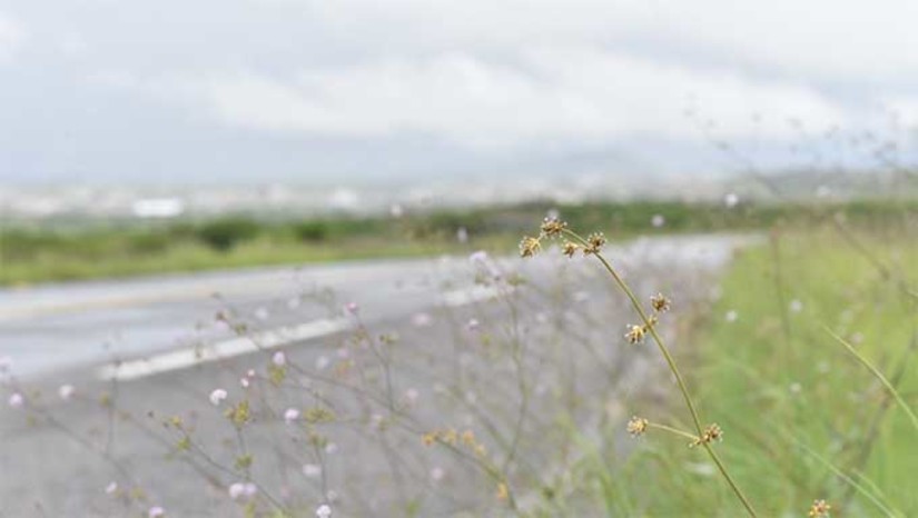 Imagem 1 - Temperaturas acima de 35°C são consideradas normais para o mês, no interior do estado. A atuação dos ventos entre as regiões do país, nos próximos dias, é que vai determinar a chegada da onda de calor no estado. Segundo o chefe de meteorologia da Emparn, Gilmar Bristot, a atuação dos ventos e outros sistemas meteorológicos nos próximos dias entre os estados de Minas Gerais, Bahia e Piauí, a população potiguar poderá sentir o aumento acima do normal meio da semana que vem. É cedo afirmar que essa onda vai chegar no Rio Grande do Norte. Imagem 1 - Temperaturas acima de 35°C são consideradas normais para o mês, no interior do estado. A atuação dos ventos entre as regiões do país, nos próximos dias, é que vai determinar a chegada da onda de calor no estado. Segundo o chefe de meteorologia da Emparn, Gilmar Bristot, a atuação dos ventos e outros sistemas meteorológicos nos próximos dias entre os estados de Minas Gerais, Bahia e Piauí, a população potiguar poderá sentir o aumento acima do normal meio da semana que vem. É cedo afirmar que essa onda vai chegar no Rio Grande do Norte.