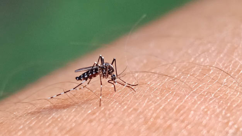 Imagem 1 -  MS abre consulta pública sobre proposta de incorporação da vacina contra a dengue no SUS. O imunizante Qdenga está em avaliação pela Comissão Nacional de Incorporações de Tecnologias no Sistema Único de Saúde (Conitec). Em reunião realizada nesta quarta-feira (6), considerando o cenário epidemiológico e a necessidade de incluir mais uma alternativa para enfrentamento à doença, a Comissão recomendou inicialmente a incorporação do imunizante para localidades e públicos prioritários que serão definidos pelo PNI. A consulta ficará aberta pelo prazo de 10 dias, sendo iniciada nesta quinta-feira (7).