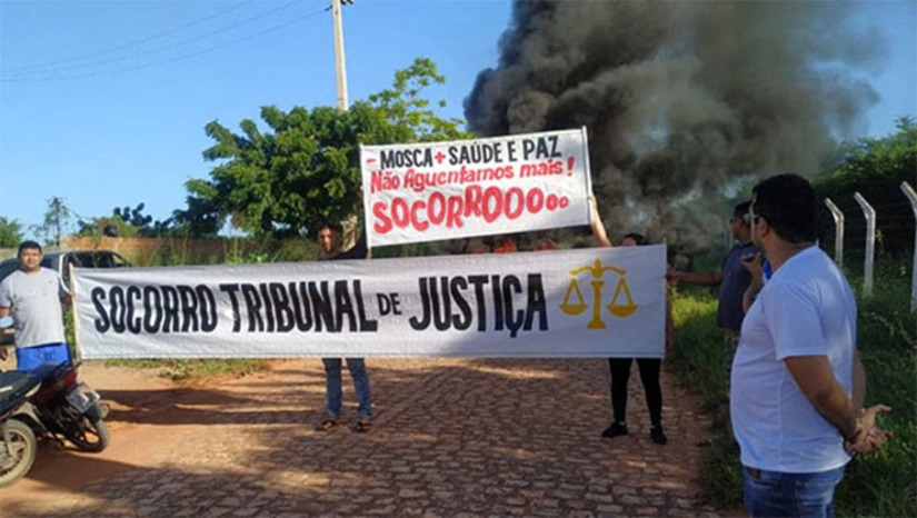 Imagem 1 -  Decisão tomada pelo juízo de primeira instância havia determinado, em 2020, que a Granja Ave Forte saísse da área urbana de Mossoró num prazo de 3 anos e, passado este tempo, aplicou multas. A defesa da Granja Ave Forte, patrocinada pelo advogado Daniel Victor, mostrou aos desembargadores que a decisão havia sido tomada apenas com provas produzidas pelo MPRN e não pela Justiça e os desembargadores anularam a sentença de primeira instância.  No caso, a Justiça deve determinar que seja feita uma perícia completa e novamente julgue o caso. 
