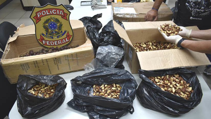 Imagem 1 -  Casal é preso ao receber encomenda com 5,66 kg de crack nos Correios de Parnamirim. A prisão aconteceu nesta quarta-feira (31). A drogra estava misturada em uma carga de castanhas. A ação aconteceu quando os policiais se dirigiram à agência dos Correios no centro de Parnamirim para investigar uma possível remessa de drogas através do serviço postal para um destinatário local. Após manter vigilância, a equipe agiu no momento em que o casal, um homem e uma mulher de 27 e 28 anos, retirava a encomenda.