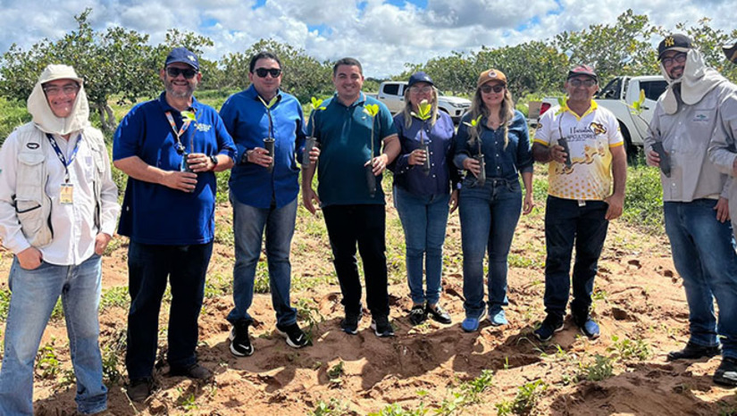 Imagem 1 -  Essa colaboração estratégica visa aplicar novas tecnologias e trazer inovações diretas para o campo, beneficiando agricultores e fortalecendo a economia regional. Ao todo,  serão implantadas cinco URTs na região, que funcionarão como verdadeiras "salas de aula em campo". Essas unidades servirão como vitrines para demonstrar práticas agrícolas modernas, conduzidas em colaboração com os produtores locais e sob a orientação da assistência técnica.