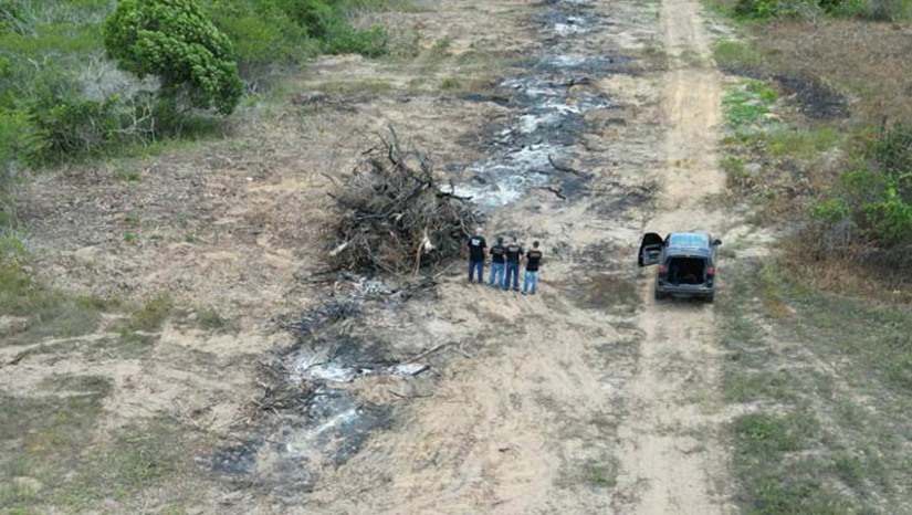 Imagem 1 - PF indicia dois empresários por promover desmatamento em área de proteção ambiental no RN. O crime aconteceu no município de Espírito Santo/RN, mais precisamente na Área de Proteção Ambiental Piquiri-Uma, inserida no bioma Mata Atlântica. O desmatamento, realizado para fins de plantio de cana-de-açúcar, tem sido feito mediante a utilização de tratores de esteira e outras máquinas. O dano ambiental foi constatado por meio de exame pericial que demonstra vasta derrubada de mangabeiras na área de coleta de mangaba dos rurícolas da etnia “Catu”, os quais encontram-se sob regularização perante a FUNAI, como indígenas. Imagem 1 - PF indicia dois empresários por promover desmatamento em área de proteção ambiental no RN. O crime aconteceu no município de Espírito Santo/RN, mais precisamente na Área de Proteção Ambiental Piquiri-Uma, inserida no bioma Mata Atlântica. O desmatamento, realizado para fins de plantio de cana-de-açúcar, tem sido feito mediante a utilização de tratores de esteira e outras máquinas. O dano ambiental foi constatado por meio de exame pericial que demonstra vasta derrubada de mangabeiras na área de coleta de mangaba dos rurícolas da etnia “Catu”, os quais encontram-se sob regularização perante a FUNAI, como indígenas.
