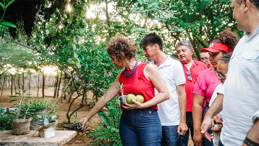 Imagem 1 - A primeira Audiência Pública para tratar do Projeto de Lei Programa Quintais Produtivos, de autoria da deputada Isolda Dantas, acontece nesta sexta-feira (17), a partir das 9h, na Câmara Municipal de Mossoró. O projeto tem como objetivo o fortalecimento de quintais produtivos das mulheres na zona rural e urbana. O PL visa promover a autonomia econômica das mulheres e ampliar o acesso às políticas públicas de apoio à produção e comercialização de alimentos e a tecnologias sociais de acesso à água potável, como as cisternas. Imagem 1 - A primeira Audiência Pública para tratar do Projeto de Lei Programa Quintais Produtivos, de autoria da deputada Isolda Dantas, acontece nesta sexta-feira (17), a partir das 9h, na Câmara Municipal de Mossoró. O projeto tem como objetivo o fortalecimento de quintais produtivos das mulheres na zona rural e urbana. O PL visa promover a autonomia econômica das mulheres e ampliar o acesso às políticas públicas de apoio à produção e comercialização de alimentos e a tecnologias sociais de acesso à água potável, como as cisternas.