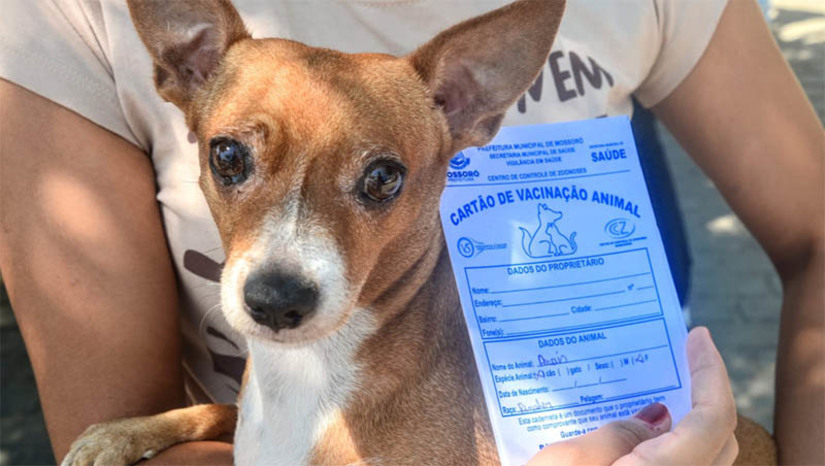 Imagem 1 -  Moradores das comunidades do polo Maisa já podem vacinar seus animais contra raiva. A campanha de vacinação antirrábica foi iniciada nesta segunda-feira (17), na zona rural de Mossoró. As comunidades do polo Maísa são as primeiras a serem visitadas, assim como aconteceu no ano passado. Em julho, o processo de imunização de cães e gatos será iniciado na zona urbana, conforme calendário que será divulgado.