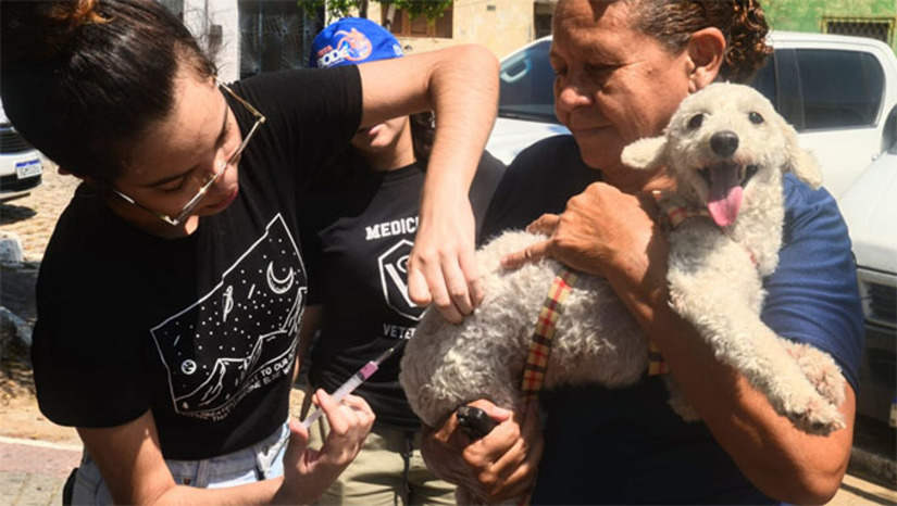 Imagem 1 - Na sexta-feira, a vacinação de cães e gatos contra raiva acontecerá das 7h às 11h. Os locais são os seguintes: Praça ao lado do Supermercado Queiroz (Santa Delmira); stand da Mister (Nova Mossoró); UBS Ildone Cavalcante de Freitas (Barrocas); UBS Vereador Lahyre Rosado (Alto do Sumaré). Já no sábado, os tutores podem levar os animais para imunização das 8h às 12h. Confira os pontos: Praça do Livro (Santo Antônio); Parque Municipal (Centro); Praça ao lado da UPA (Alto de São Manoel); Praça Raimundo Rubira (Boa Vista). A Coordenação de Saúde e Bem-estar Animal orienta que a vacina é voltada para cães e gatos a partir dos três meses, inclusive aqueles que já foram vacinados no ano passado. Imagem 1 - Na sexta-feira, a vacinação de cães e gatos contra raiva acontecerá das 7h às 11h. Os locais são os seguintes: Praça ao lado do Supermercado Queiroz (Santa Delmira); stand da Mister (Nova Mossoró); UBS Ildone Cavalcante de Freitas (Barrocas); UBS Vereador Lahyre Rosado (Alto do Sumaré). Já no sábado, os tutores podem levar os animais para imunização das 8h às 12h. Confira os pontos: Praça do Livro (Santo Antônio); Parque Municipal (Centro); Praça ao lado da UPA (Alto de São Manoel); Praça Raimundo Rubira (Boa Vista). A Coordenação de Saúde e Bem-estar Animal orienta que a vacina é voltada para cães e gatos a partir dos três meses, inclusive aqueles que já foram vacinados no ano passado.