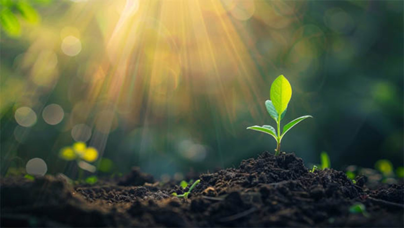 Imagem 1 - MPRN e construtora formalizam acordo para garantir recomposição florestal em Mossoró. O acordo tem como objetivo reverter os danos causados pela empresa ao meio ambiente, devido a prática de desmatamento irregular de vegetação nativa para um projeto de loteamento no município. De acordo com as cláusulas do Termo de Ajustamento de Conduta (TAC), a construtora se comprometeu a elaborar e a implementar um projeto de recomposição florestal, que incluirá o plantio de 2.311 mudas de espécies nativas. O projeto deve ser apresentado à autoridade ambiental competente dentro de seis meses, e a implementação deve ser iniciada dentro de 30 dias após a aprovação do plano. Imagem 1 - MPRN e construtora formalizam acordo para garantir recomposição florestal em Mossoró. O acordo tem como objetivo reverter os danos causados pela empresa ao meio ambiente, devido a prática de desmatamento irregular de vegetação nativa para um projeto de loteamento no município. De acordo com as cláusulas do Termo de Ajustamento de Conduta (TAC), a construtora se comprometeu a elaborar e a implementar um projeto de recomposição florestal, que incluirá o plantio de 2.311 mudas de espécies nativas. O projeto deve ser apresentado à autoridade ambiental competente dentro de seis meses, e a implementação deve ser iniciada dentro de 30 dias após a aprovação do plano.