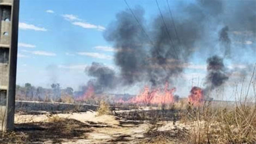 Imagem 1 -  Cosern alerta para riscos relacionados a queimadas próximas à rede elétrica. Somente no final de semana passado, o Corpo de Bombeiros registrou a ocorrência de 24 incêndios florestais nas cidades de Assu, Apodi, Mossoró e Pau dos Ferros. A Neoenergia Cosern preparou um guia com orientações para evitar queimadas, que ocorrem mais comumente nos meses mais quentes do ano e com maior incidência de ventos, como agosto, às margens de rodovias, áreas rurais e canaviais. 