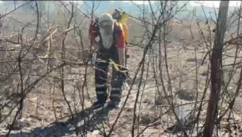 Imagem 1 -  [VÍDEO] Iguana se refresca com água oferecida por bombeiros durante incêndio em Parnamirim. O caso aconteceu na tarde desta terça-feira (17), em uma região de mata, onde uma guarnição do Corpo de Bombeiros do Rio Grande do Norte, tentava controlar um incêndio. Ao notar a presença do animal, um bombeiro se aproxima e direciona o fluxo de água para próximo de onde ele está. O réptil então sai da toca para refrescar. Além da vegetação, os animais que vivem nessas regiões onde estão acontecendo queimadas, são os que mais sofrem em meio ao fogo. Os que conseguem sobreviver às chamas, ficam sem água e comida. 