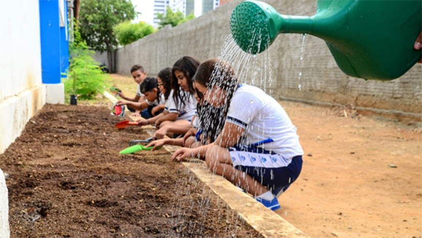 Imagem 1 -  Alunos de escola de tempo integral de Mossoró participam de projeto sustentável de cultivo de hortaliças. O projeto, iniciado no dia 17 deste mês, é coordenado pelo professor Júlio Ulisses. Ele explica que antes do cultivo na escola, os alunos puderam conhecer de perto o Setor de Produção de Mudas da Universidade Federal Rural do Semi-Árido (Ufersa), uma experiência, segundo o docente, muito positiva. “O objetivo é manter a alimentação saudável de todos os alunos. Além disso, vamos trabalhar de forma interdisciplinar, abordando o empreendedorismo, com a venda da produção excedente”, explica o professor