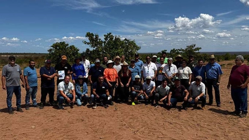   Comitiva de produtores de castanha de caju de vários estados brasileiros, acompanhados com representes de governos e instituições de apoio e consultoria, conheceram neste dia 31 de outubro de 2024, as técnicas usadas pelos colonos da Serra do Mel-RN na produção de castanha de caju, considerado patrimônio imaterial do Rio Grande do Norte