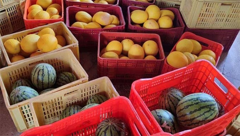 Imagem 1 -  O programa “Compra Direta” iniciou a etapa 2025 nesta terça-feira (29) com a entrega de mais de 4,8 toneladas de alimentos da agricultura familiar para instituições socioassistenciais de Mossoró. Coordenado pela EMATER-RN em parceria com governos federal, estadual e municipal, o programa beneficia cerca de 3 mil famílias e envolve 40 agricultores locais. Nesta fase, estão sendo investidos R$ 90 mil. Os produtos, incluindo melão, banana, polpas e doces, são distribuídos com apoio da Prefeitura, SEMASC e SEADRU. As próximas entregas estão previstas para os dias 6 e 13 de maio.