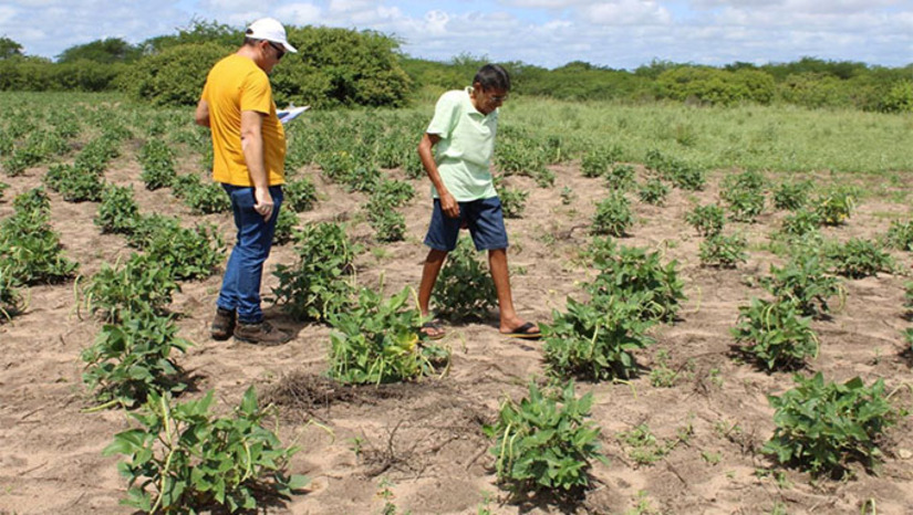Imagem 1 -  O meteorologista da Secretaria de Agricultura e Desenvolvimento Rural da Prefeitura de Mossoró-RN (SEADRU), Aciomar Lopes, monitora a variação pluviométrica em mais 120 comunidades rurais e atestou a redução bruscas nas chuvas em abril. Diante do quadro, o engenheiro-agrônomo Edmar Teixeira, também a SEADRU, já iniciou o trabalho junto aos pequenos agricultores, para incluí-los no programa Garantia Safra, do Governo Federal 2025. 