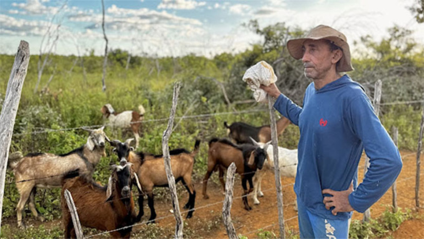   "Eu tava cuidando dos meus bichos, quando cheguei lá, os cachorros estavam rasgando meus cabritos. Eu perdi a cabeça, não vou mentir. Vim em casa, peguei a espingarda, matei uma cachorra e atirei em outro cachorro. O outro fugiu. Eles mataram 8 cabritos e sumiram com três", relatou o agricultor Hildo Severiano da Silva, de 59 anos