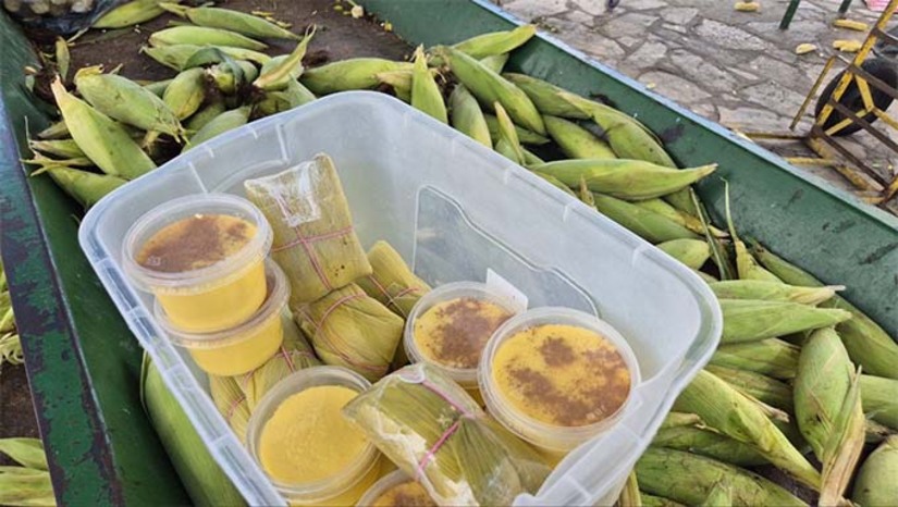 Imagem 1 - Nossa reportagem conversou com o comerciante Geraldo Linhares, que há mais de 10 anos trabalha com a venda de milho na região. Segundo ele, as vendas deste ano estão boas e ajudando a garantir uma renda extra. “Graças a Deus, esse ano está dando para fazer um dinheiro a mais. A procura está boa e a gente espera que aumente ainda mais atéo final do mês”, comentou. Imagem 1 - Nossa reportagem conversou com o comerciante Geraldo Linhares, que há mais de 10 anos trabalha com a venda de milho na região. Segundo ele, as vendas deste ano estão boas e ajudando a garantir uma renda extra. “Graças a Deus, esse ano está dando para fazer um dinheiro a mais. A procura está boa e a gente espera que aumente ainda mais atéo final do mês”, comentou.
