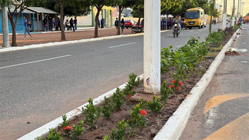 Imagem 1 - “Cuidar de Serra do Mel não é apenas fazer obras, é também investir em qualidade de vida. A arborização deixa nossa cidade mais bonita, mais fresca, mais saudável e mais preparada para o futuro. Estamos construindo uma cidade cada vez melhor para se viver”, afirmou o prefeito Kenio Azevedo Imagem 1 - “Cuidar de Serra do Mel não é apenas fazer obras, é também investir em qualidade de vida. A arborização deixa nossa cidade mais bonita, mais fresca, mais saudável e mais preparada para o futuro. Estamos construindo uma cidade cada vez melhor para se viver”, afirmou o prefeito Kenio Azevedo