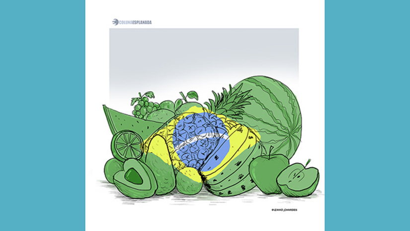 Imagem 1 -  O Brasil exportou para a Europa e a Ásia 486 T de frutas nos primeiros cinco meses de 2025, alta de 24% comparada ao mesmo período do ano anterior, segundo o Ministério do Desenvolvimento, Indústria, Comércio e Serviços. O faturamento foi de U$S 548,7 milhões, 12,3% superior em relação ao mesmo período de 2024.