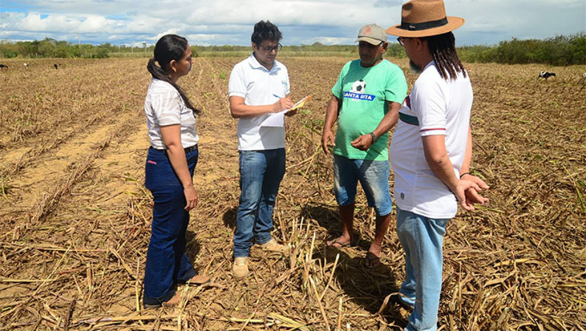 Imagem 1 -  A Seadru de Mossoró iniciou na última segunda-feira (30) as vistorias de plantio e colheita na zona rural do município. A ação atende 30 famílias da agricultura familiar, com o objetivo de elaborar os laudos do Garantia Safra e verificar as perdas provocadas pela irregularidade das chuvas na safra 2024/2025. As visitas já identificaram prejuízos significativos em comunidades como São José I e Santa Rita de Cássia, onde agricultores relataram perdas totais ou colheitas muito abaixo do esperado.