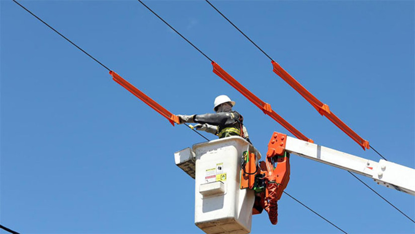 Imagem 1 -  O projeto de lei que aumenta as penas para furtos de cabos e equipamentos de energia e telefonia segue agora para sanção presidencial. Se aprovado, a pena de furto de cabos e equipamentos passa de 1 a 4 anos para 2 a 8 anos de prisão. O crime de receptação de fios e cabos, pode ser de 1 a 8 anos, e dobrada em caso qualificado. No RN em 2024, foram registradas 1.678 ocorrências de furtos de cabos nas redes de baixa, média e alta tensão. De janeiro a abril deste ano, o furto de cabos já deixou 110 mil clientes sem energia em todo o estado, aumento de 9% em relação ao mesmo período do ano passado.