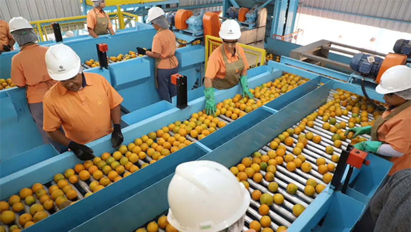 Imagem 1 - Suco e polpas de laranja estão entre os 694 ítens que não serão taxados pelo Governo Americano. Donald Trump determinou que a Lei Magnitsky contra Alexandre de Moraes, do STF. Governo Brasileiro reagiu em Nota Oficial, afirmando que o Brasil é soberano e interferência dos EUA é inaceitável. Imagem 1 - Suco e polpas de laranja estão entre os 694 ítens que não serão taxados pelo Governo Americano. Donald Trump determinou que a Lei Magnitsky contra Alexandre de Moraes, do STF. Governo Brasileiro reagiu em Nota Oficial, afirmando que o Brasil é soberano e interferência dos EUA é inaceitável.