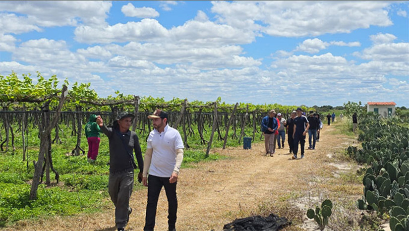Imagem 1 -  Os produtores do Pará demonstraram grande interesse em aplicar as tecnologias vistas no Rio Grande do Norte em suas regiões, como o uso de drones para pulverização e o sistema de filtragens para o plantio de novas culturas como mamão e acerola. "A troca de experiências permitiu identificar técnicas de manejo, estratégias de produtividade e soluções adaptadas às condições climáticas e de mercado", explicou Kling Simões.