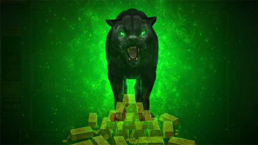 Imagem 1 -  