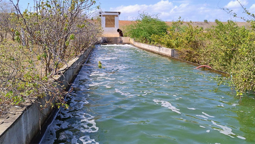 Imagem 1 -  O IGARN publicou nesta terça-feira (23) portaria que declara situação de escassez hídrica no Canal do Pataxó e no trecho perenizado do Rio Pataxó, em razão da seca que atinge 83% do RN e da redução na vazão da Barragem Armando Ribeiro Gonçalves. A medida estabelece regras de uso da água, como dias alternados para irrigação em cada margem e proibição de abastecer açudes, lagoas ou barreiros. Uma reunião no dia 16 de outubro avaliará a efetividade das ações. 