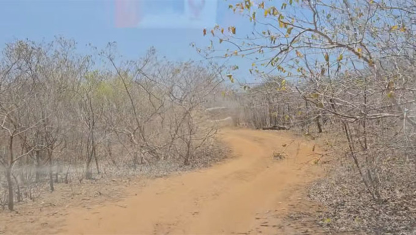 Imagem 1 - Um diagnóstico apresentado nos seminários de atualização do Plano Estadual de Combate à Desertificação revelou que 96,7% do território do Rio Grande do Norte é suscetível à desertificação, com maior vulnerabilidade nas regiões do Seridó, Alto Oeste e Sertão Central. O evento aconteceu nos municípios de Currais Novos e Pau dos Ferros. Entre as prioridades discutidas estiveram os impactos da mineração, a gestão hídrica, apoio à agricultura familiar, assistência técnica e recuperação de áreas degradadas. Para a Sudene, a integração entre governo, sociedade civil e pesquisa é essencial para transformar diagnósticos em ações efetivas no semiárido. Imagem 1 - Um diagnóstico apresentado nos seminários de atualização do Plano Estadual de Combate à Desertificação revelou que 96,7% do território do Rio Grande do Norte é suscetível à desertificação, com maior vulnerabilidade nas regiões do Seridó, Alto Oeste e Sertão Central. O evento aconteceu nos municípios de Currais Novos e Pau dos Ferros. Entre as prioridades discutidas estiveram os impactos da mineração, a gestão hídrica, apoio à agricultura familiar, assistência técnica e recuperação de áreas degradadas. Para a Sudene, a integração entre governo, sociedade civil e pesquisa é essencial para transformar diagnósticos em ações efetivas no semiárido.