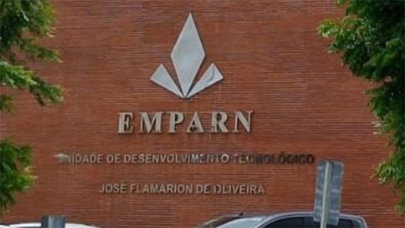 Imagem 1 - O certame, realizado pela Sead em parceria com a Emparn, ofereceu 16 vagas imediatas e cadastro de reserva para cargos de níveis médio e superior para Meteorologia, Produção Animal, Administração e Direito. O concurso terá validade de dois anos, e, segundo a governadora Fátima Bezerra, as nomeações serão iniciadas em breve. Imagem 1 - O certame, realizado pela Sead em parceria com a Emparn, ofereceu 16 vagas imediatas e cadastro de reserva para cargos de níveis médio e superior para Meteorologia, Produção Animal, Administração e Direito. O concurso terá validade de dois anos, e, segundo a governadora Fátima Bezerra, as nomeações serão iniciadas em breve.